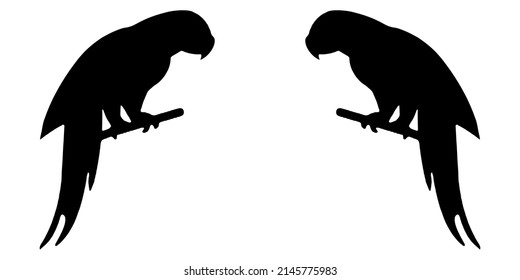 Illustration Vector Graphic of Parrot Icon