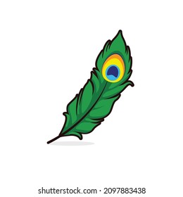 Illustration, Vektorgrafik von Peacock Feather. Peacock Feather minimalistischer Stil einzeln auf weißem Hintergrund.
