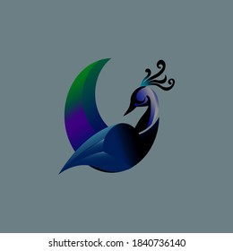 Illustration, Vektorgrafik eines Pfaues mit Farbverlauf-Logo. Blauer Hintergrund. Gut für Firmenlogo und Logo-Design auf Hemden.