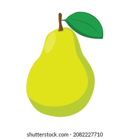 illustration vector graphic of pear