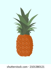 Illustration vector graphic of pineapple