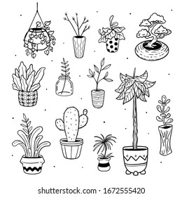 illustration vector graphic of plant doodles