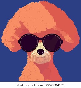 illustration Vector graphic of poodle wearing sunglasses isolated good for icon, mascot, print or customize your design