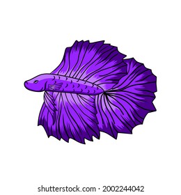 illustration vector graphic of purple color betta fish suitable for logo, pet store and other 