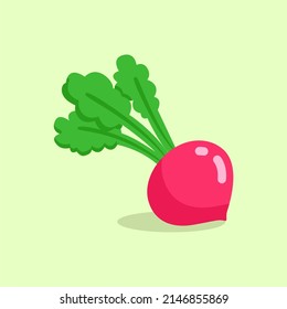 Gráfico vectorial de ilustración de Radish. Un estilo de rayas planas, aislado en un fondo verde. La ilustración es adecuada para páginas web de aterrizaje, banners, volantes, pegatinas, tarjetas, etc.