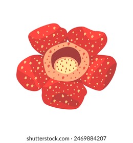 Illustration vector graphic of Rafflesia arnoldii