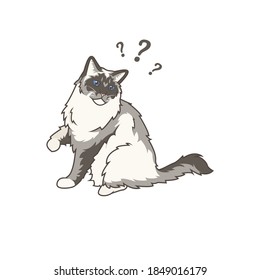 illustration vector graphic of ragdoll cat is showing a confused expression