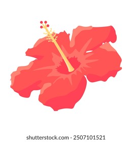 Illustration vector graphic of red hibiscus flower