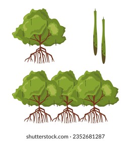 Gráfico vectorial de ilustración de rhizophora y propagación