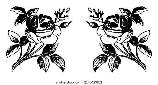 Illustration Vector Graphic of Rose Icon.