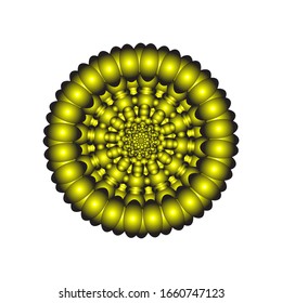 illustration vector graphic of Round ornament in 3D on white background. Ornamental round geometric pattern. in golden yellow.  fit for logo, icon or symbol, etc