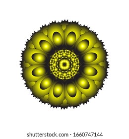 illustration vector graphic of Round ornament in 3D on white background. Ornamental round geometric pattern. in golden yellow.  fit for logo, icon or symbol, etc