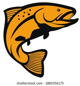 illustration vector graphic of salmon fish perfect for logo mascot etc