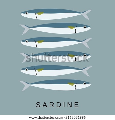 Illustration vector graphic of sardines