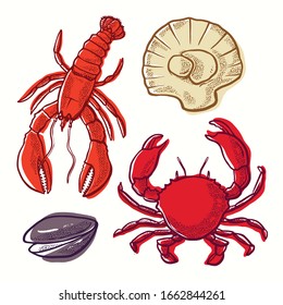 illustration vector graphic of seafood line art color, perfect for menu, logo and etc