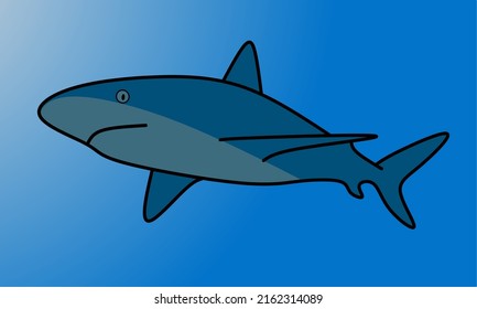 Illustration vector graphic of shark, good for kids education