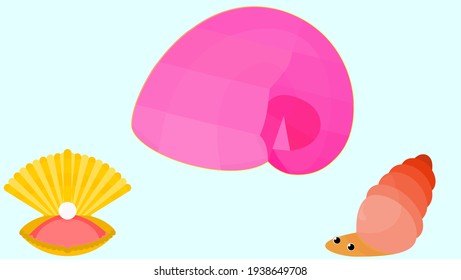 Illustration vector graphic of shell cockleshells pearl sea Ocean collection kawaii cute illustration perfect for toy cartoon kids and children book 