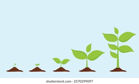 Illustration vector graphic of shoot growth into a plant. Perfect for plant research, education in schools, and also the agricultural industry