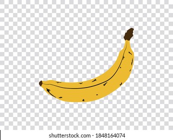 illustration vector graphic side view of an extra ripe banana isolated on transparent background. Transparent grid. vector illustrations transparent grid style background. Stock vector illustration eps10. 
