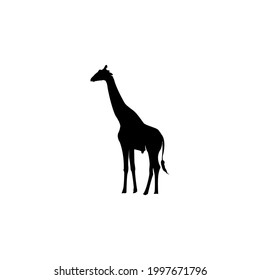 Gráfico vectorial de ilustración de silueta girafa