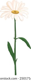 Illustration vector graphic of single stem of daisy. Good for decorative design.