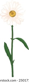Gráfico de Vector de ilustración de tallo único de margarita. Bueno para el diseño decorativo.