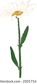 Illustration vector graphic of single stem of daisy. Good for decorative design.