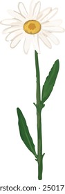 Illustration vector graphic of single stem of daisy. Good for decorative design.