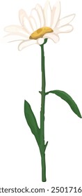Illustration vector graphic of single stem of daisy. Good for decorative design.