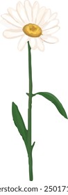 Illustration vector graphic of single stem of daisy. Good for decorative design.