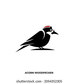 Illustration vector graphic template of acorn woodpecker silhouette logo