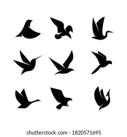 Plantilla gráfica vectorial de ilustración del logotipo de silueta de pájaro
