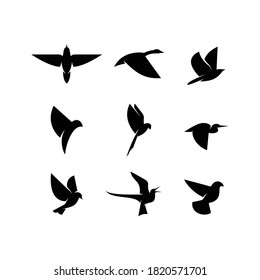 Illustration vector graphic template of bird flying collection silhouette logo