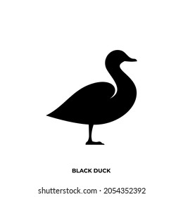 Illustration vector graphic template of black duck silhouette logo