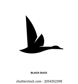 Illustration vector graphic template of black duck silhouette logo