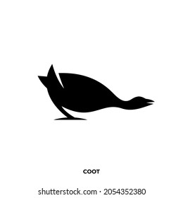Illustration vector graphic template of coot silhouette logo