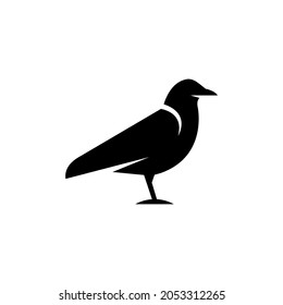 Illustration vector graphic template of crow bird silhouette logo
