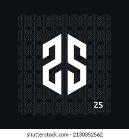 illustration vector graphic template of letter S or number 2 logo