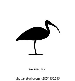 Illustration vector graphic template of sacred ibis silhouette logo