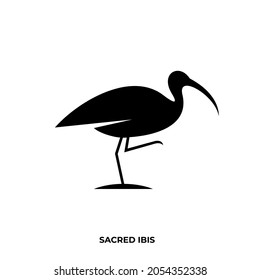 Illustration vector graphic template of sacred ibis silhouette logo