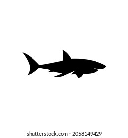 Illustration vector graphic template of shark silhouette logo