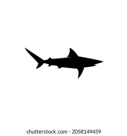 Illustration vector graphic template of shark silhouette logo