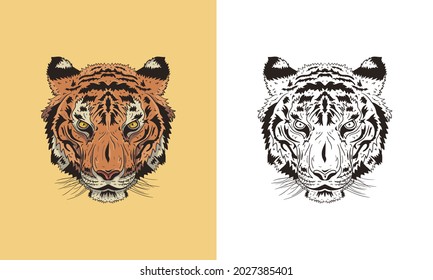 Illustration vector graphic of Tiger head in detailed style.  Vector engraved illustration for logo, label, tattoo or T-shirts, and coloring book