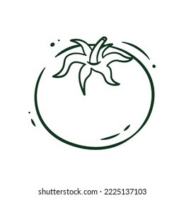 Illustration vector graphic of Tomato. Tomato vector sketch isolated on a white background. The illustration is suitable for web landing page banners, flyers, stickers, cards, etc.