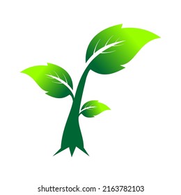 Illustration vector graphic of tree pictures
