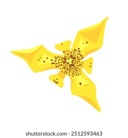 Illustration vector graphic of trimezia petal