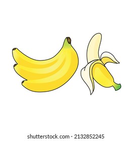 Illustration vector graphic of very fresh and delicious Banana, suitable for everyone who wants to be healthy