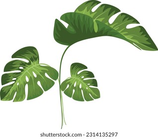 illustration vector graphic of very pretty flowers