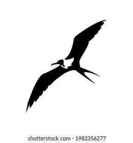 Illustration Vector graphic of voyager bird icon design