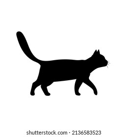 Illustration vector graphic of walking cat. Concept flat design. Perfect for icon, poster, banner, web, label, sign, symbol, logo, card, template, application, etc.